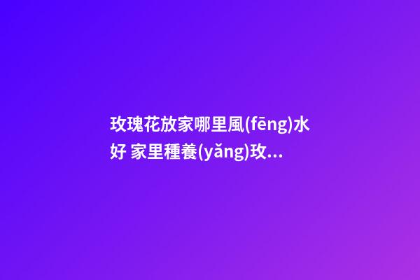 玫瑰花放家哪里風(fēng)水好 家里種養(yǎng)玫瑰花好嗎風(fēng)水上有忌諱嗎